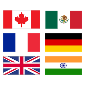 International Flags Icon